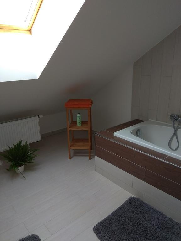 Apartmany Pod Lesem Bohutín Buitenkant foto