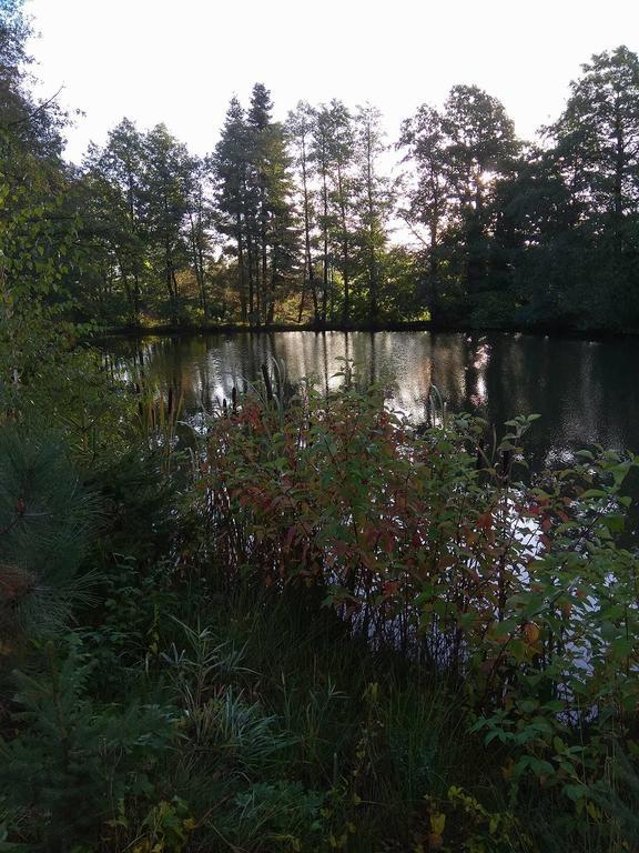 Apartmany Pod Lesem Bohutín Buitenkant foto