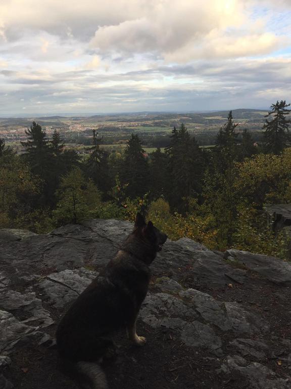 Apartmany Pod Lesem Bohutín Buitenkant foto
