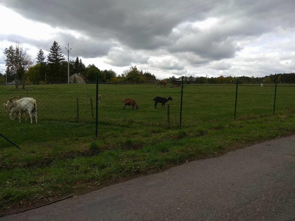 Apartmany Pod Lesem Bohutín Buitenkant foto