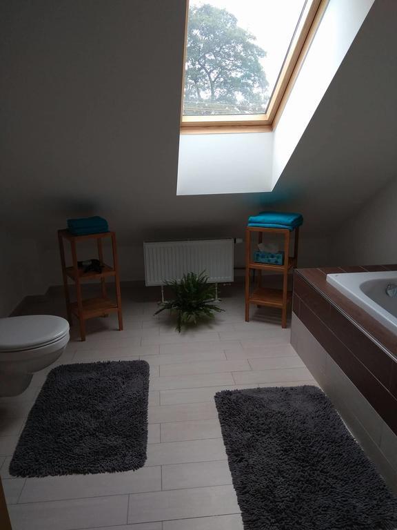 Apartmany Pod Lesem Bohutín Buitenkant foto